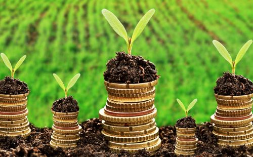 Asia Sustainable Finance Initiative (ASFI) launched